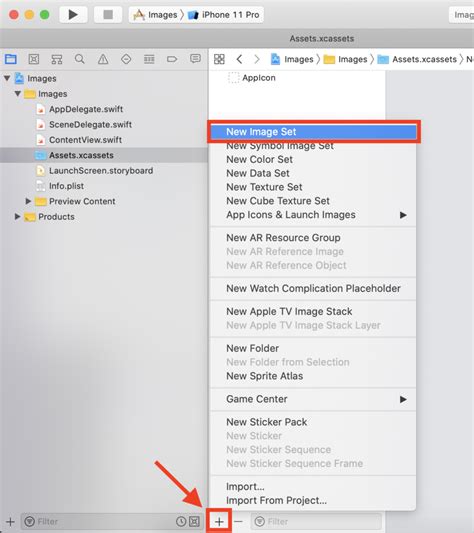 Generally, a developer delivers a zip file of the xcode project. How to add image to Xcode project in SwiftUI - Simple ...