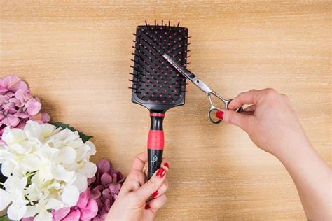 How To Clean Hair Brushes And Combs Yabibo