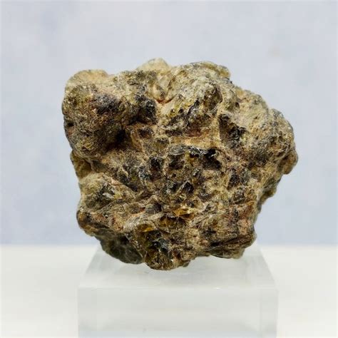 Diogenite Hed Nwa 7831 Meteorite From Vesta No Reserve Catawiki