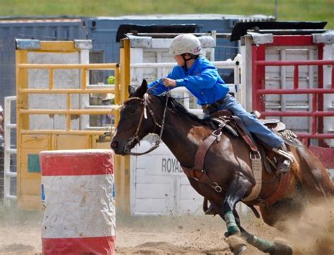 Free Images Girl Woman Horseback Horse Action Stallion Cowgirl