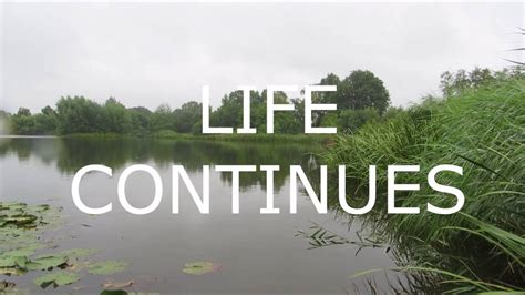Life Continues Youtube