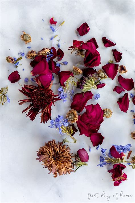 Never put any wire or metal in your microwave. How to Dry Flowers and Get the Best Results Possible ...