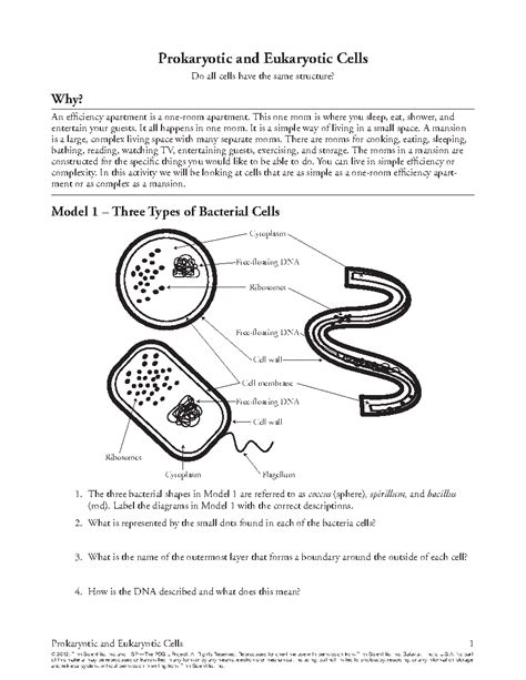 We know that people need to eat, and in our foods are various kinds of. POGIL Activities for High School Biology Sample Activity
