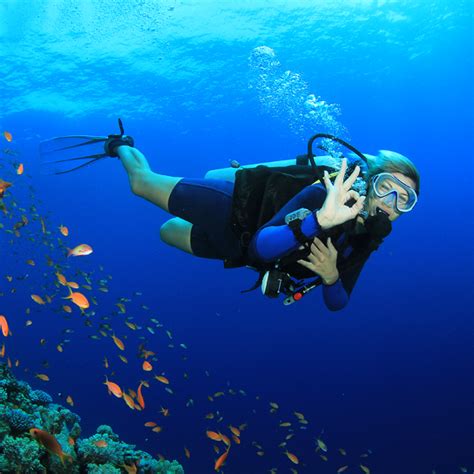 What Is Scuba Diving Scuba Diving Basics You Need To Know Blue Life