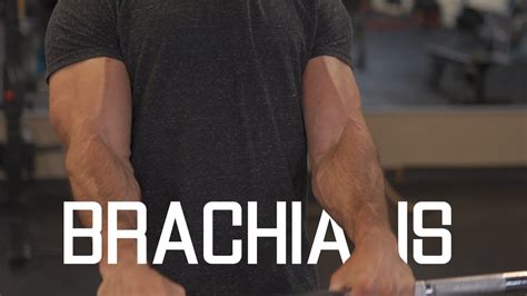 How To Grow Widerthicker Biceps Brachialis Exercises