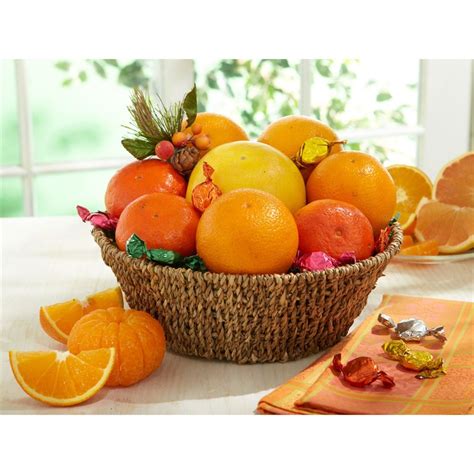 Hales Citrus Lovers Fruit Basket Fruit Citrus Fruit Ts