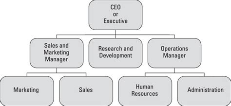 Foundation Structure Traditional Organizational Structure