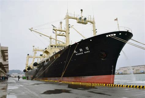 Japan Seeks Upgrades To Whaling Mother Ship In Latest Signal That