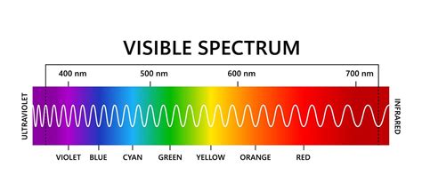 Premium Vector Visible Light Spectrum Infared And Ultraviolet Optical Light Wavelength