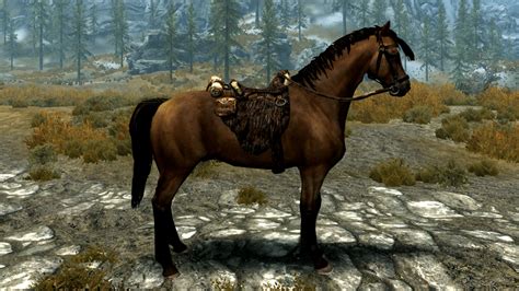 The Best Horse Mods For Skyrim 2024 High Ground Gaming