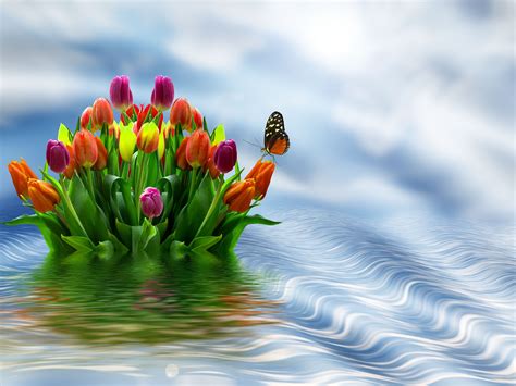 Darmowe Zdjęcia Kwiaty Kwiat Tulipany Woda Wiosna Projekt
