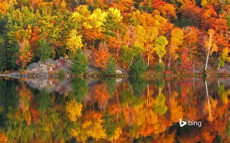 Autumn At George Lake Ontario Canada Bing Wallpapers