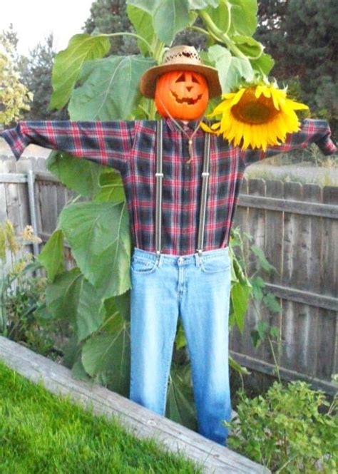 Diy Project How To Make A Scarecrow • The Budget Decorator