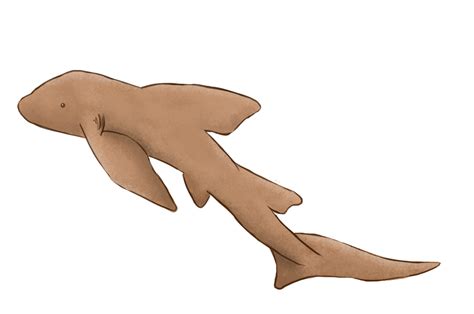 Shark 02 By Battle Chestnut On Deviantart