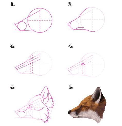 Морда лисы рисунок поэтапно 50 фото рисунки для срисовки на Газ