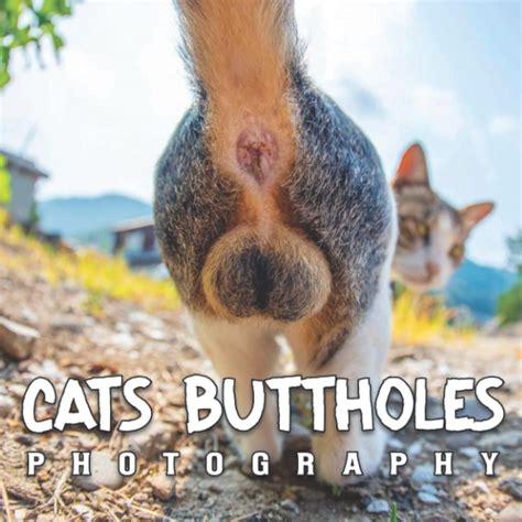 Cats Buttholes Photobook An Amazing Collection With Compelling Photos