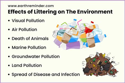 How Does Littering Affect The Environment Earth Reminder