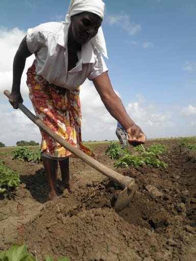 Empowering Women In Sub Saharan Agriculture A G Agro Mechanical Industry