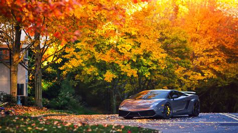 Full Hd Wallpaper Lamborghini Gallardo Roadster Autumn Luxury Desktop