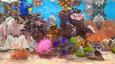 Behind Glass Aquarium Simulator On Steam