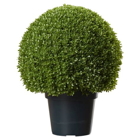 13 Round Artificial Boxwood Topiary In Pot And Reviews Birch Lane