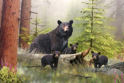 Wildlife Art Black Bear Painting By Dale Kunkel Art