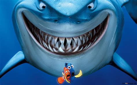 Finding Nemo Scared Fishes Marlin And Dory Hd Wallpaper Download