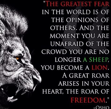 Lions Don T Lose Sleep Over Opinions Of Sheep For The Soul