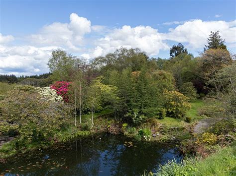 Scotlands Gardens Scheme Open Garden Kilbryde Castle Dunblane What