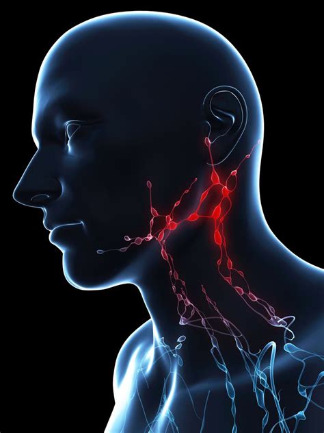 What Are Paratracheal Lymph Nodes