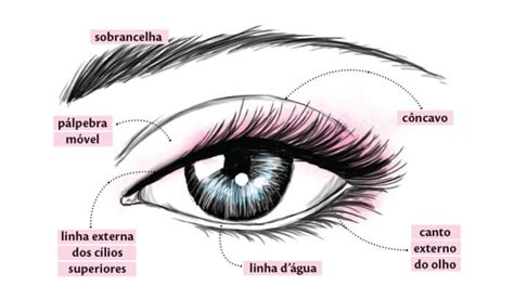 Identificando Cada Região Do Seu Olho Gabi M Makeup