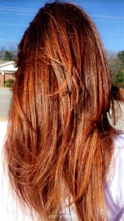Auburn Hair With Copper Highlights Hair Color Auburn