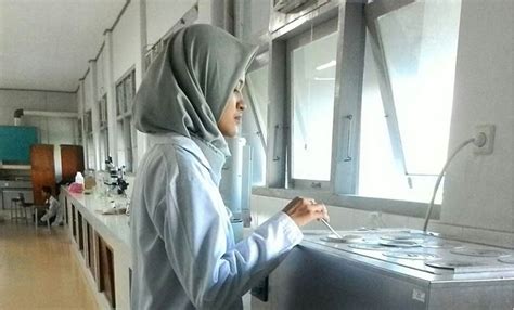 Selain perbanyak mengonsumsi makanan di atas, jangan lupa juga terapkan. Labu Siam Berpotensi Untuk Obati Kanker Kulit | kagama.co ...