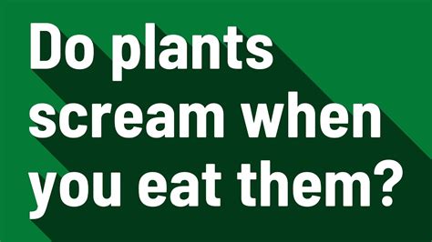 Do Plants Scream When You Eat Them Youtube