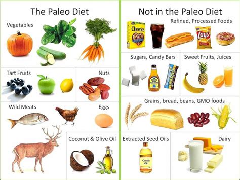 What Is The Paleo Diet Eatology Healthy And Tasty Meal Plan Delivery
