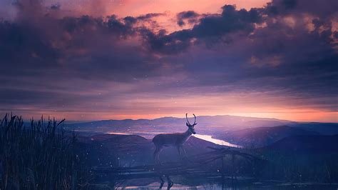 Twilight Deer Deer Artist Artwork Digital Art Hd Wallpaper Peakpx