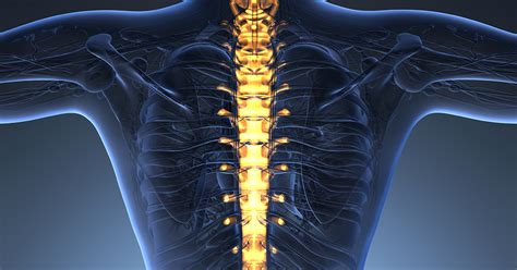 Axial Lumbar Interbody Fusion Scottsdale Az Orthopedic Spine Surgery