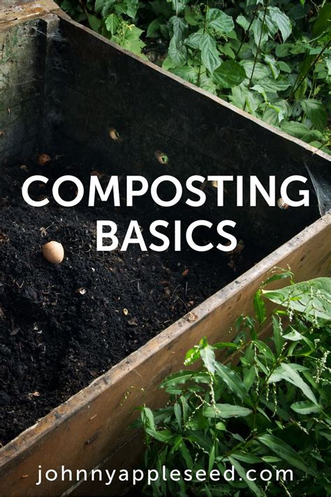 Composting Basics Diy Composting In Your Backyard Garden Vegetable