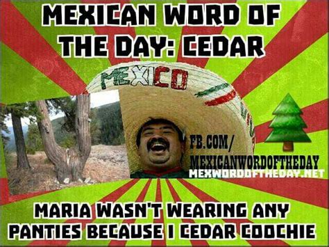 Pin By J Haynes On Word Of The Day Mexican Words Mexican Jokes