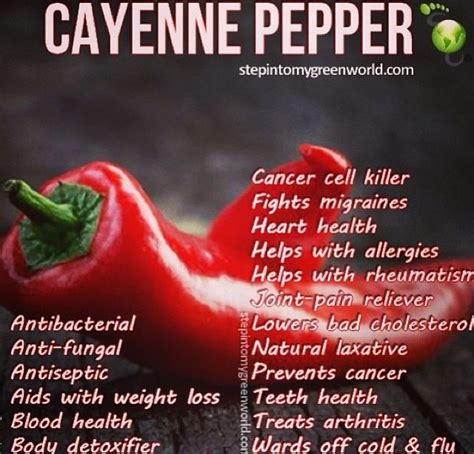Cayenne Pepper Cancer Prevention Stuffed Peppers Teeth Health