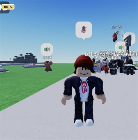 Guys I Have Roblox Vc Without An Id Rroblox