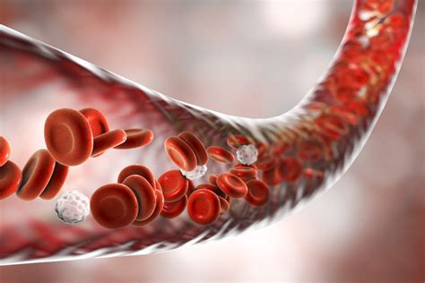It is performed by darren korb and ashley barrett. At Last! A Vitamin That Can Make Your Blood Vessels ...