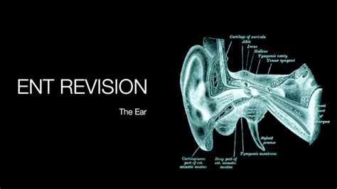 Ent Revision The Ear Youtube
