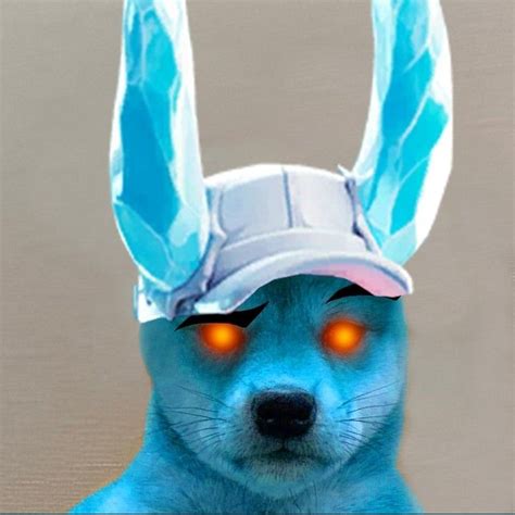 Dog Wif Hat Blue Ice Dog Icon Dog Images Dog Hat