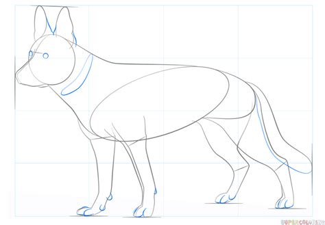 How To Draw A German Shepherd Step By Step Easy Thomas Yespire