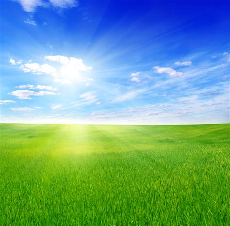 bigstock-green-field-and-sun-sky-25176758 - Munroe Dairy