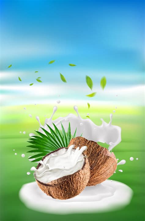 Summer Coconut Background Picture Wallpaper Image For Free Download
