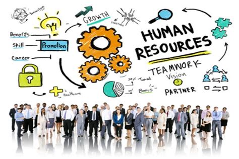 The Top Reasons To Outsource Hr Functions Entrepreneur Business Blog