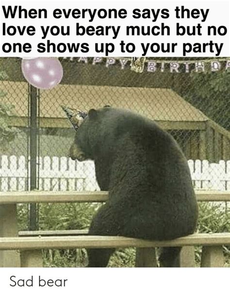 Sad Bear Funny Meme On Meme