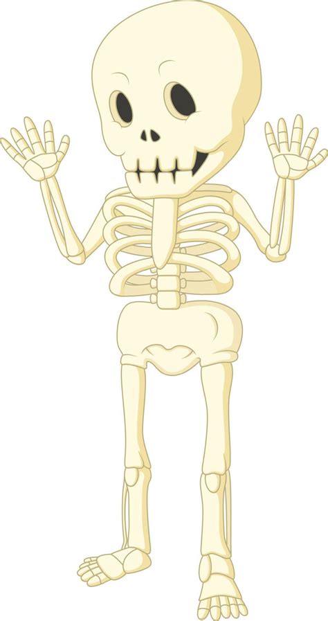 Cartoon Funny Human Skeleton Dancing 8665456 Vector Art At Vecteezy